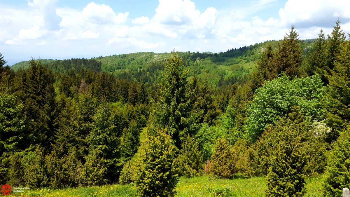 Photo gallery/ Bukovik - an oasis of peace near Sarajevo - Sarajevska ...