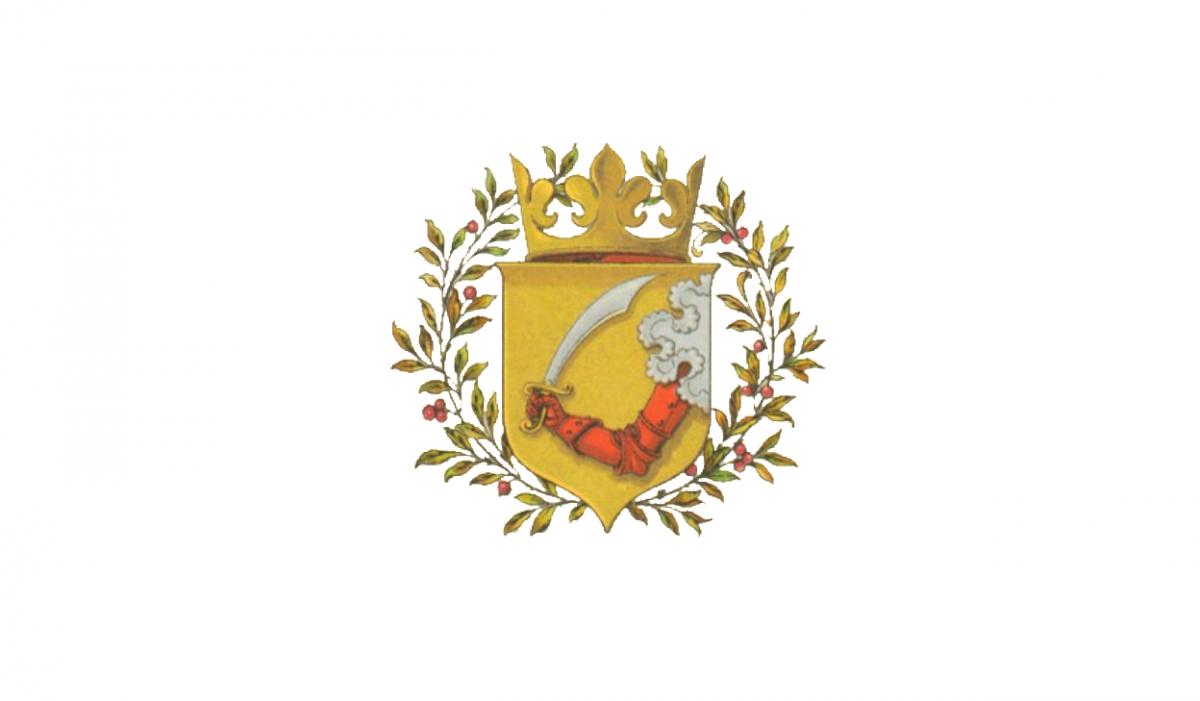 Grb Bosne u periodu od 1878. do 1918. godine