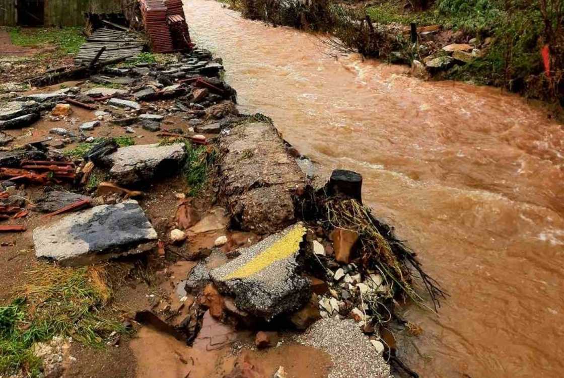 Foto: Društvene mreže