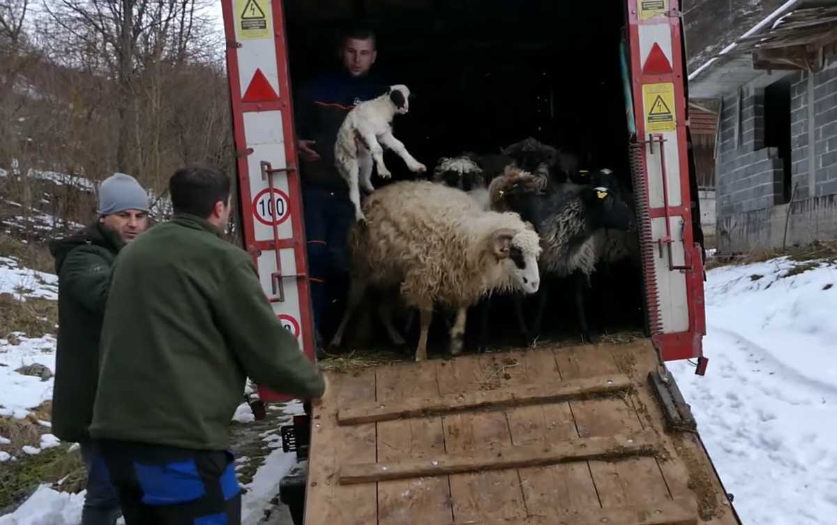 Video/ Kad Se Male Ruke Slože: Dobri Ljudi Vratili Huseinu Volju Za ...