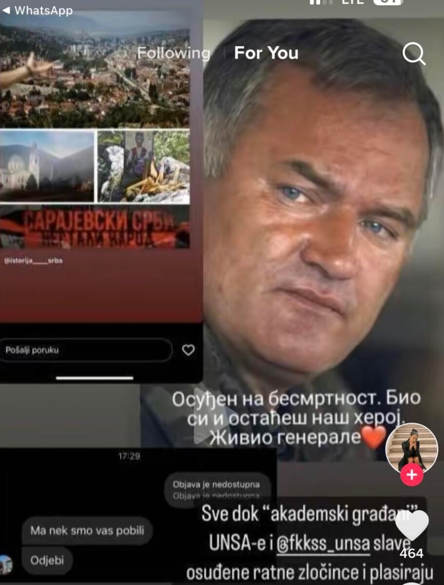 Objava Slađane Todić