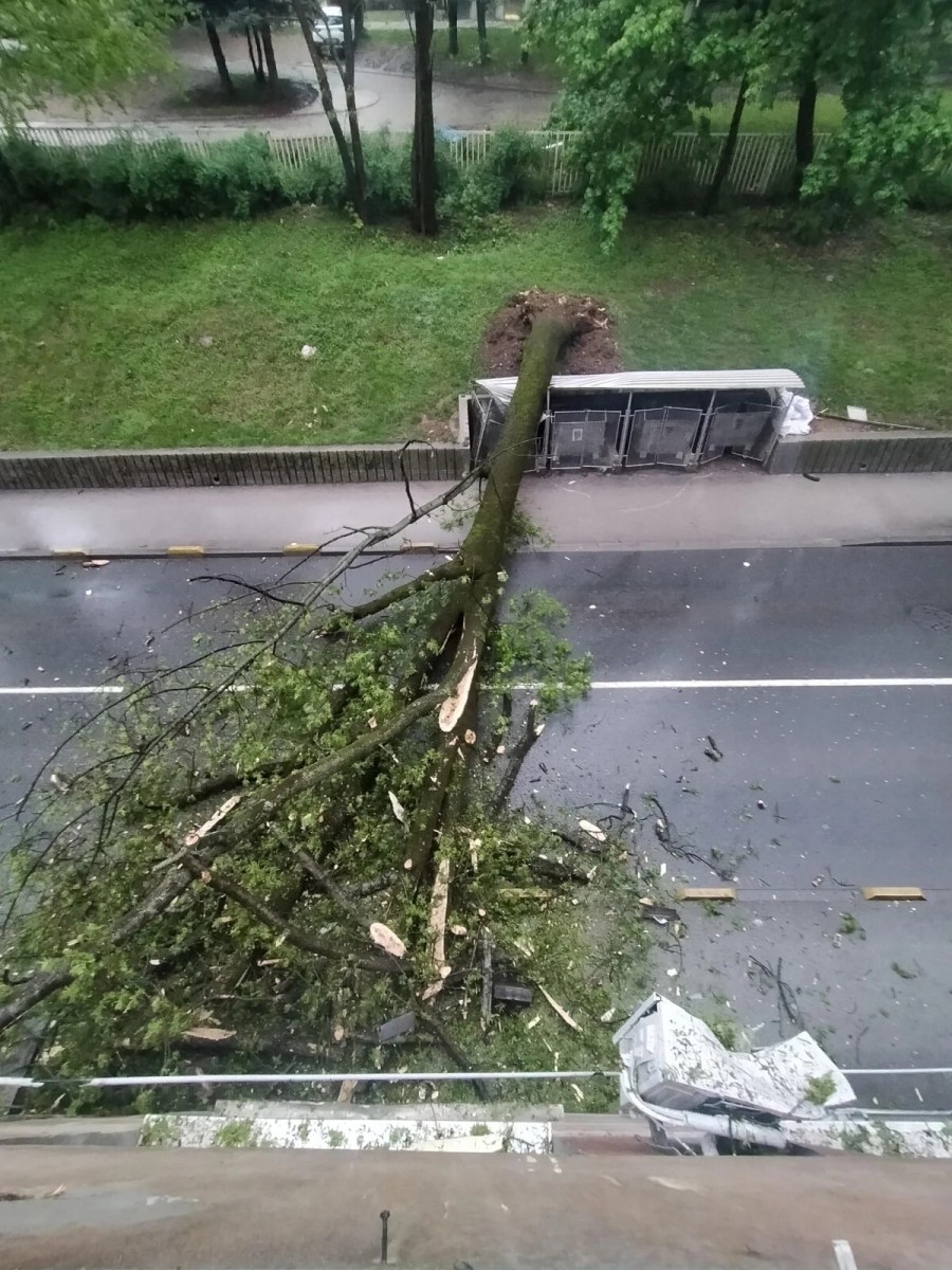 Foto: Društvene mreže