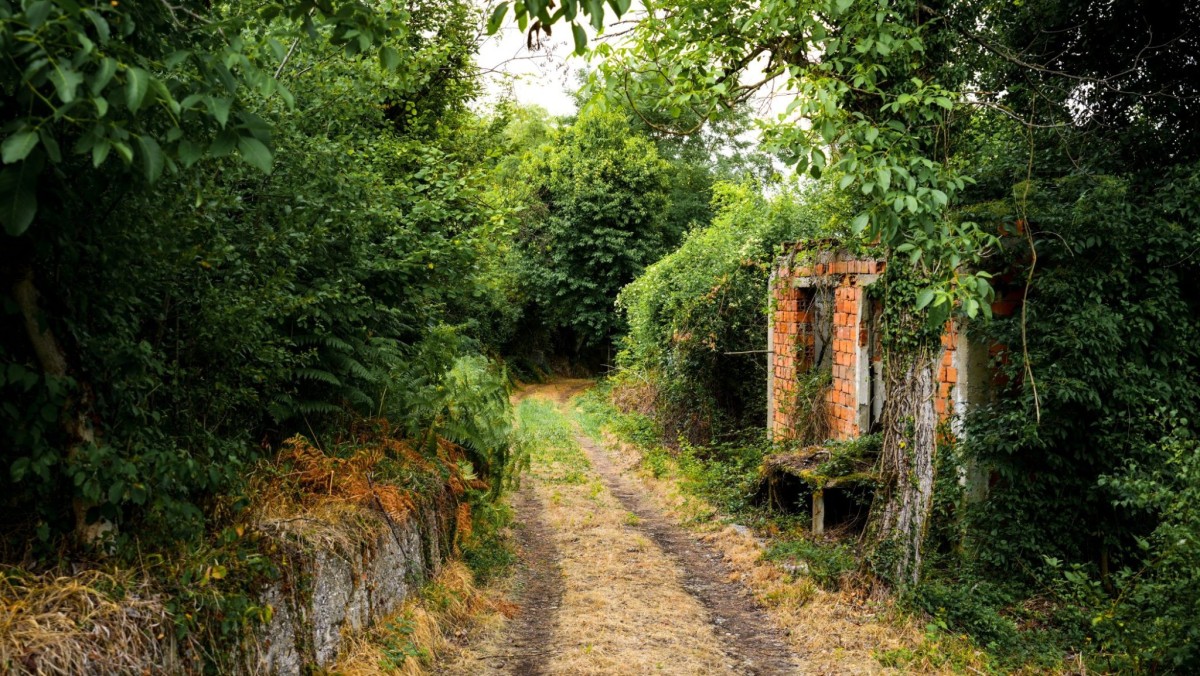 Ruševine sela Radovčići/ Foto: Detektor.ba