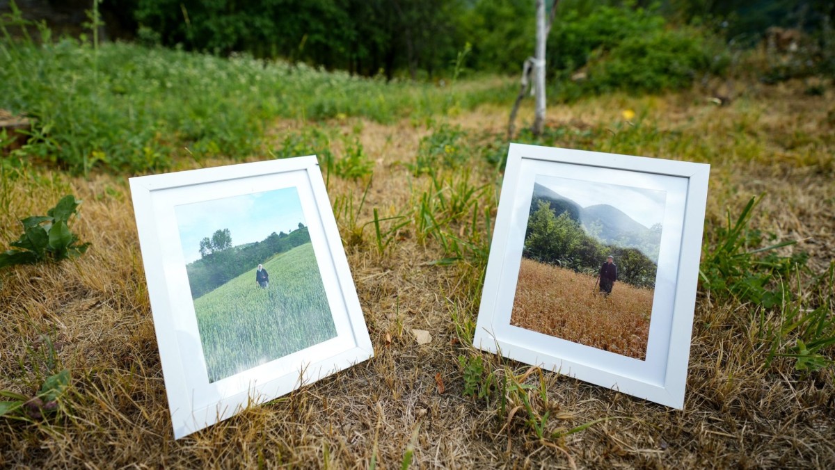 Fotografije Aiše Begić na usjevu pšenice/ Foto: Detektor.ba