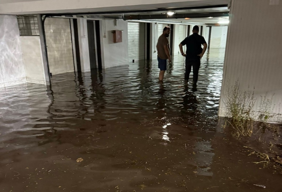 Foto: Društvene mreže