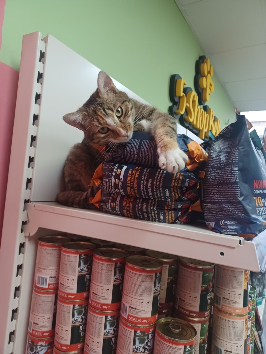 Foto: Pet shop "Bella"