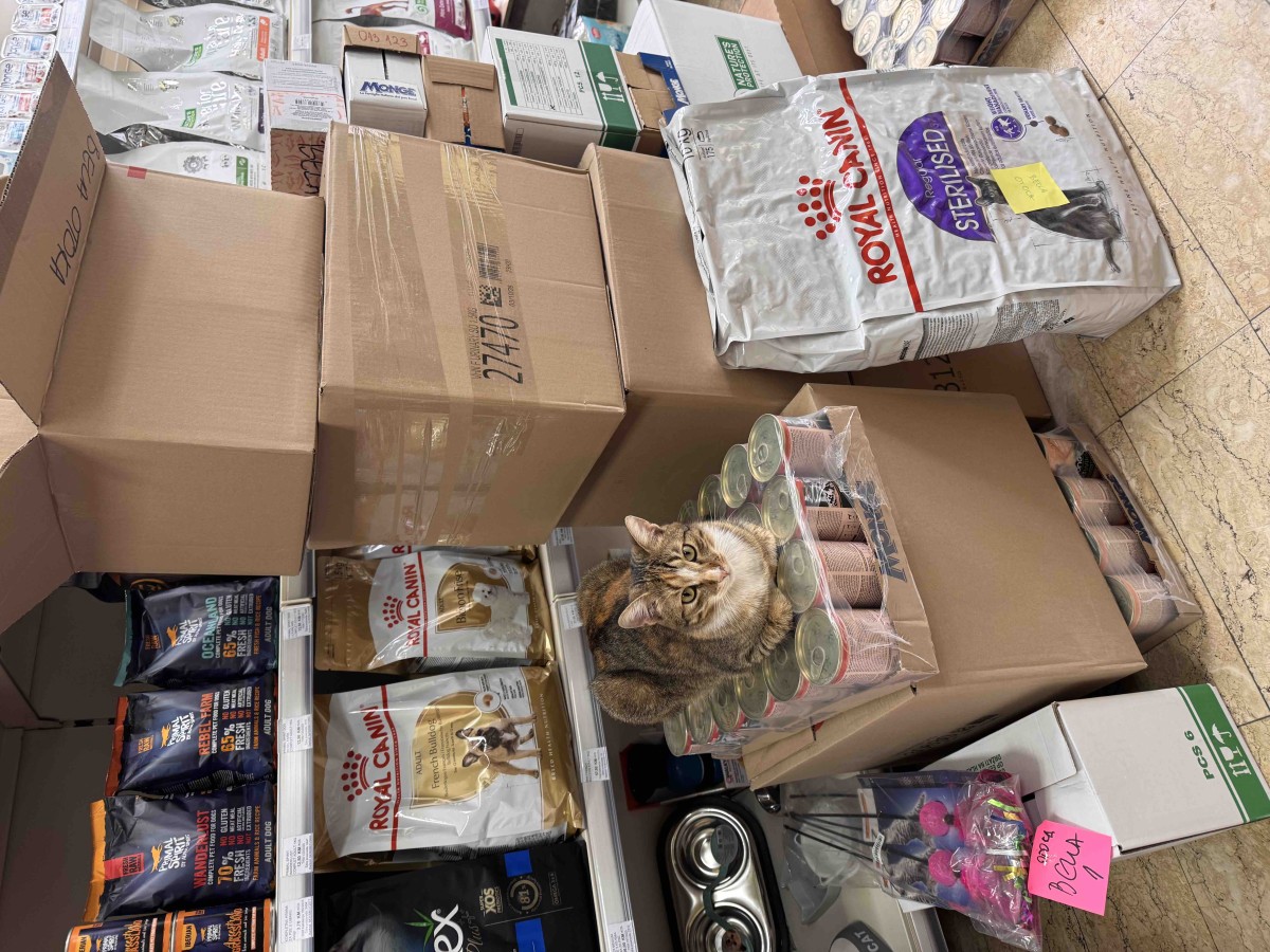 Foto: Pet shop "Bella"