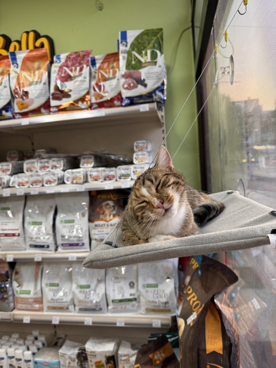 Foto: Pet shop "Bella"