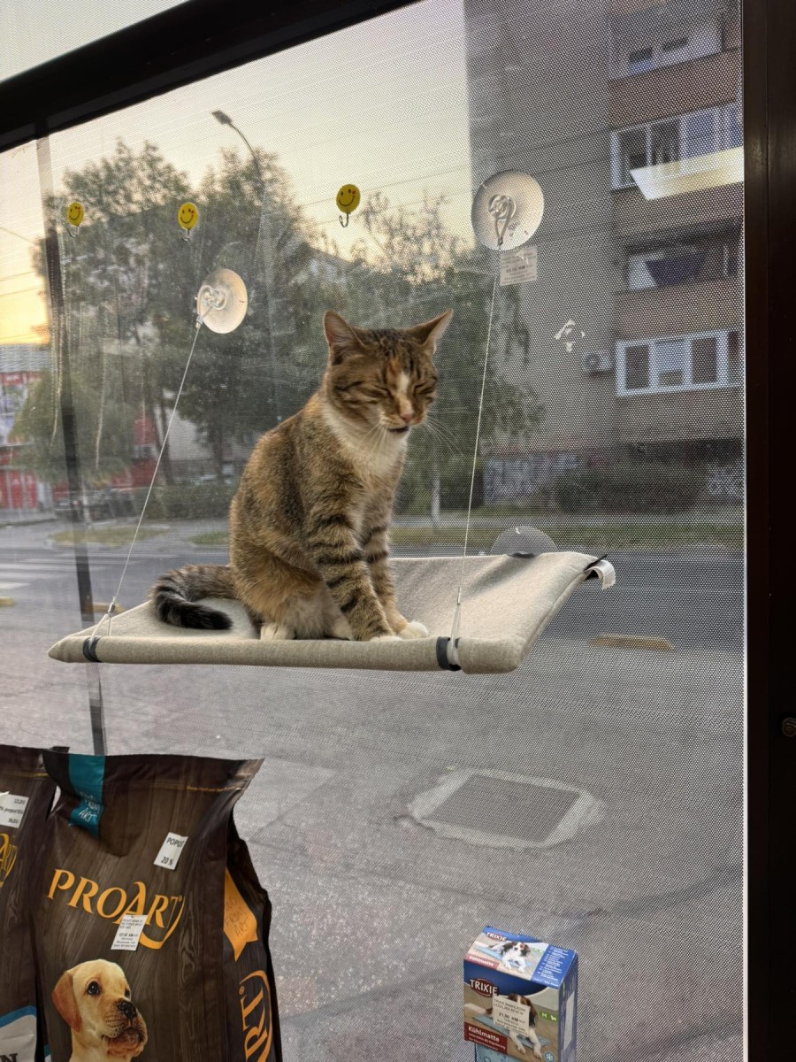 Foto: Pet shop "Bella"